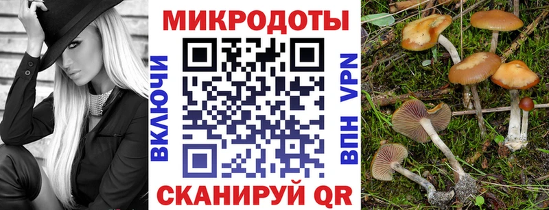 Галлюциногенные грибы ЛСД Краснознаменск