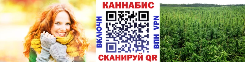 Купить Краснознаменск Шишки марихуана конопля